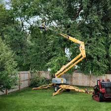 Why Choose Our Tree Removal Services in Clinton, MS?